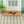 6y84FopY53VPGI20u8RQuI
