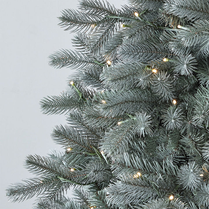 7.5' Blue Spruce Christmas Tree