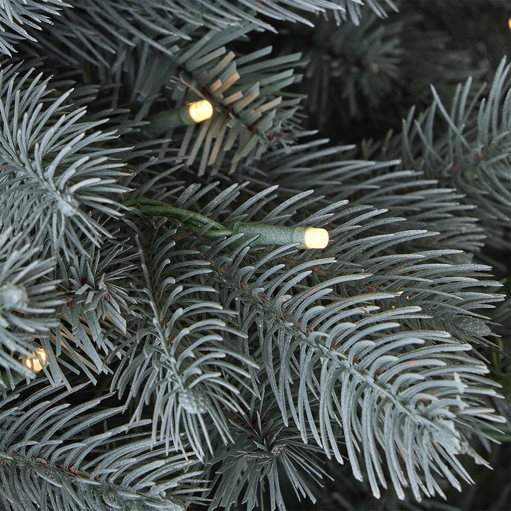 7.5' Blue Spruce Christmas Tree
