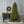 7.5' Pine Christmas Tree