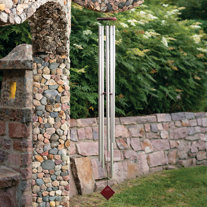 5NgCIWJ6o8PVWgm2RcXDVV