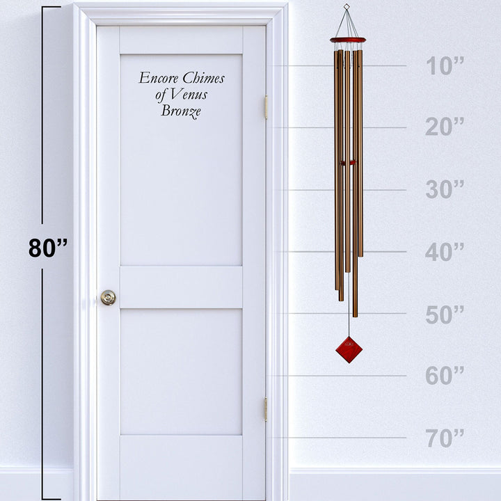 1hIG7CDr4GPtVd0tNhAbU0