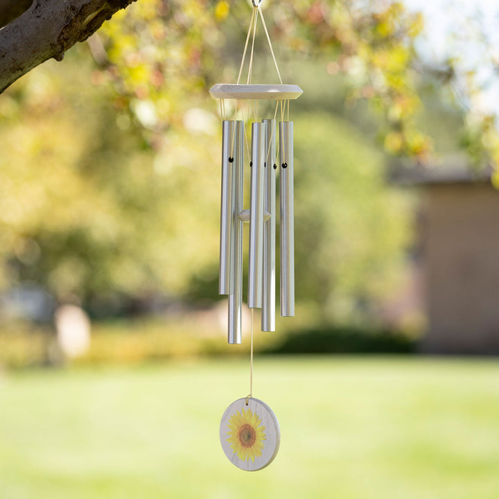 5LvViQVvCRb2fiKTSDT1M6