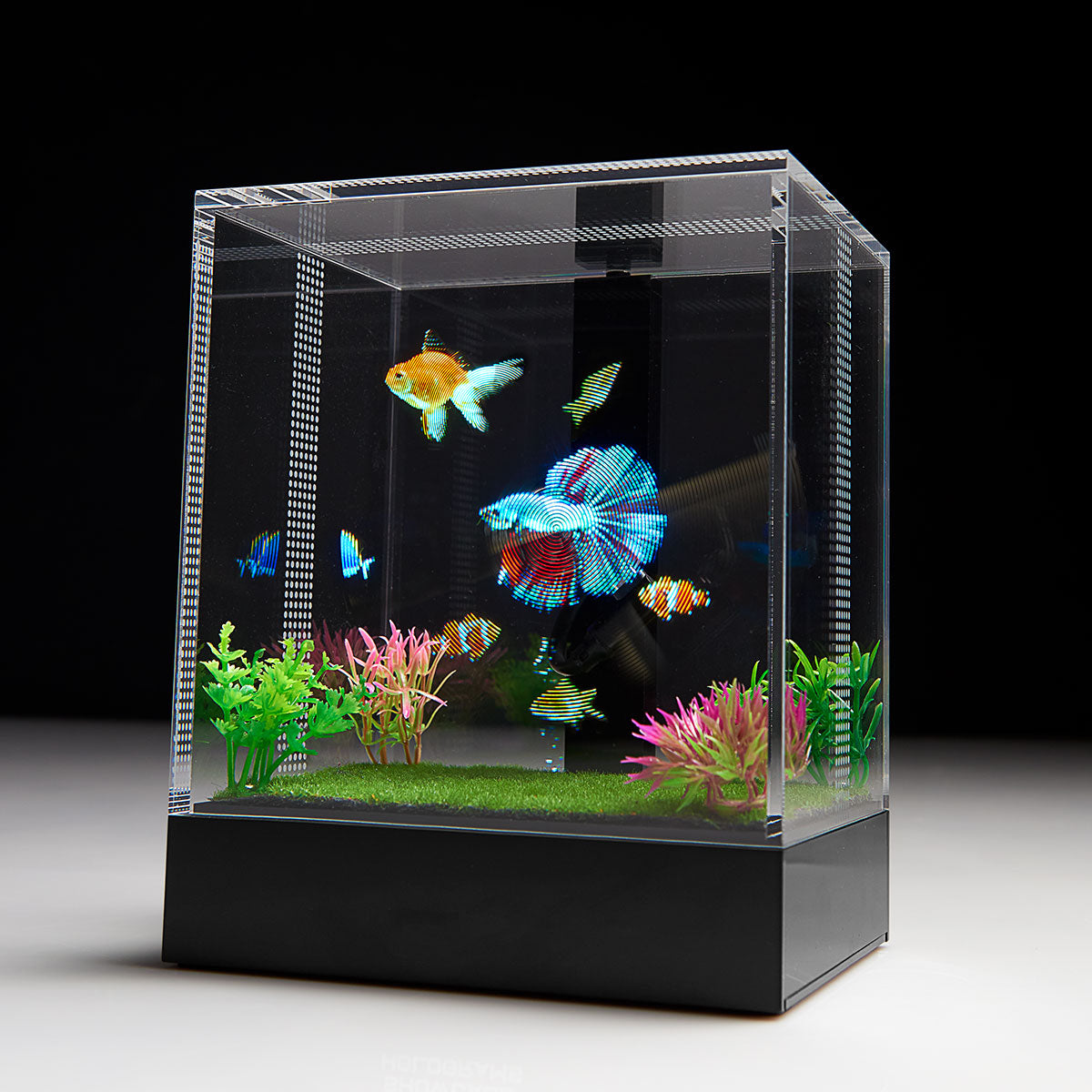 3D Hologram Fish Tank | Virtual Aquarium Display
