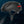 35zzg07u0QoeQeOkAIQrsF