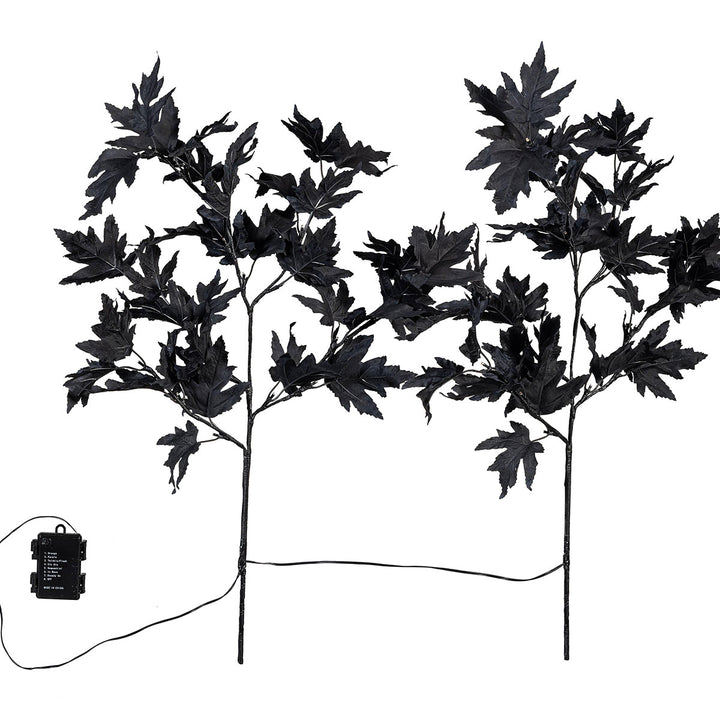 7dN8fcSG9LlpElnhicuWKs