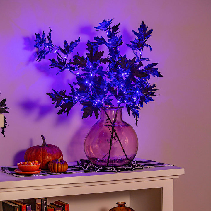 1bsJ4ausCoyI9D7qQ8IKC1