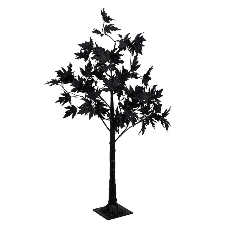 a5jp1ZVoUV4AgmNGmRj1I