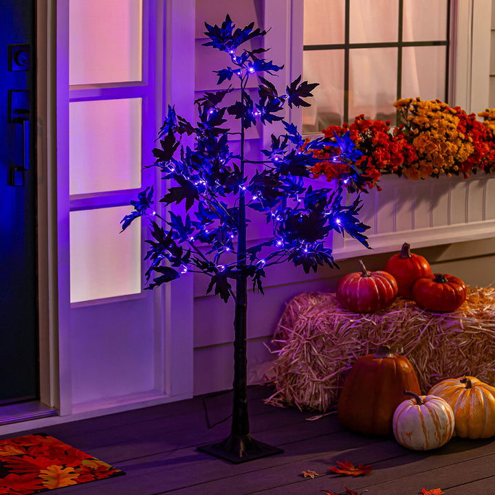 5j2z9SUwsFPL6pOTvSSxgG