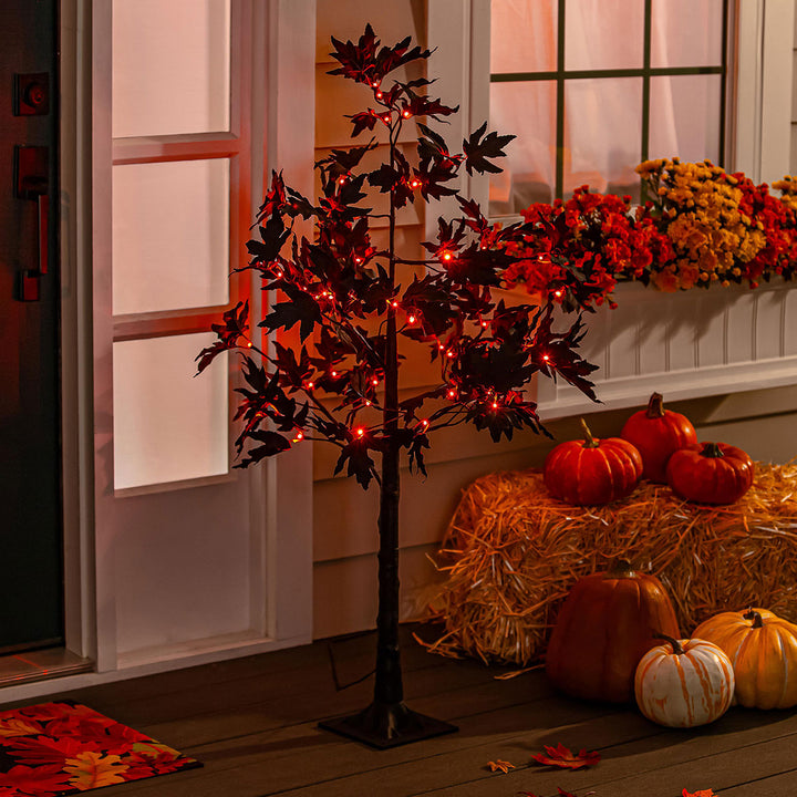 7dMU3Bk1D4hZANMxREFpDy