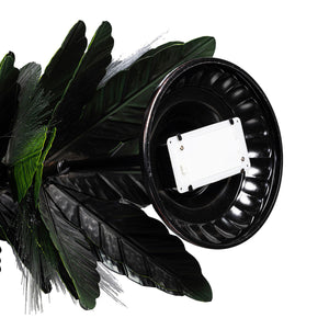 uXdUASaNauxlydYMenNuB