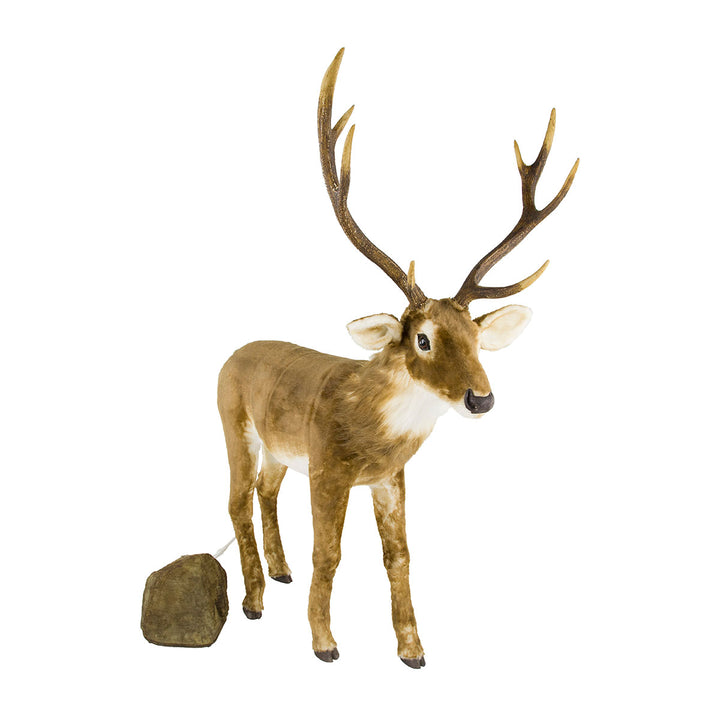 5eRXQM9lkZcE5JfviHDkbS