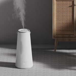 6d9s1lhjvb4dTVF1XlU2Rt