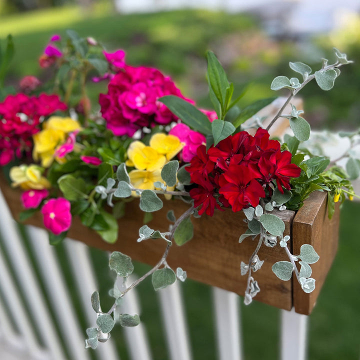 6jDnkZ6GgQiab5p3Lx9dL6