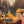 RC Dump Truck with Lights and Sounds