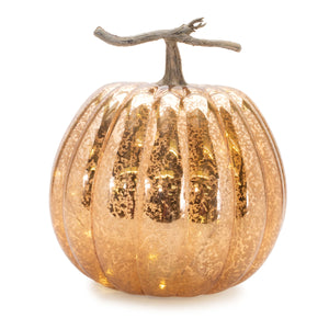 2NMxvn0N3nyhrmRFlvW3I8