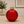 LED Tabletop Ornament