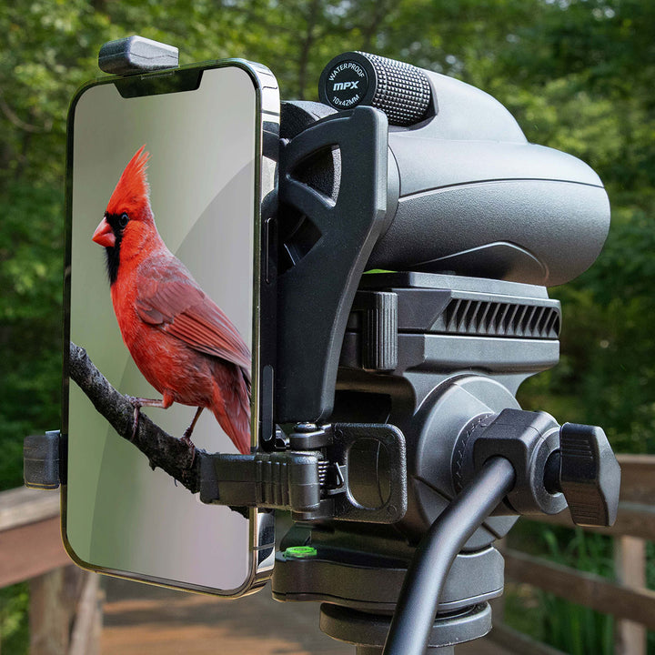 28uxkJNyn5nGNp0PY0frgl