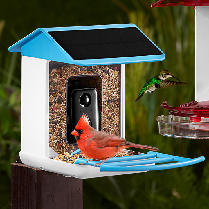 Video Camera Bird Feeder by Sharper Image