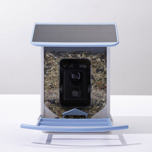 12iv5SNCW577f1lqJ8iLwO