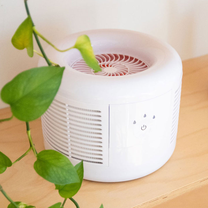 2O9iSVBXRcy9ElhzLUh8hL