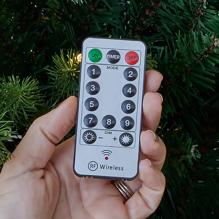 6' Palmetto Pine Christmas Tree