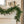 6' Palmetto Pine Garland