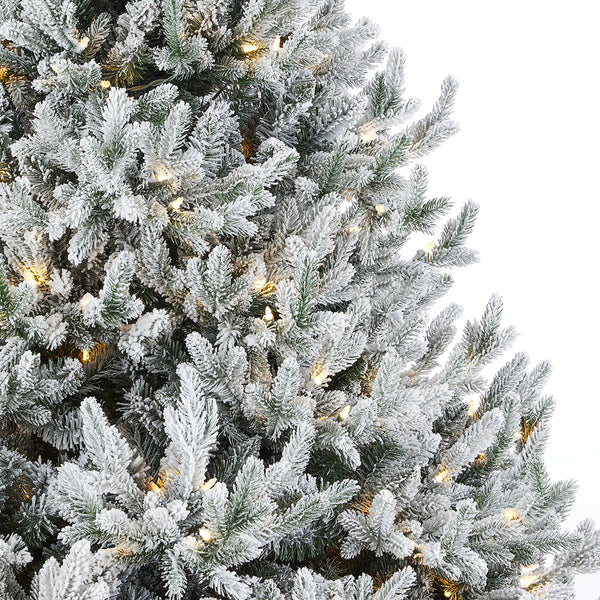 Flocked Frasier Fir Christmas Tree
