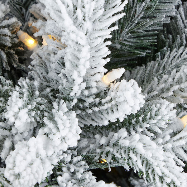 Flocked Frasier Fir Christmas Tree