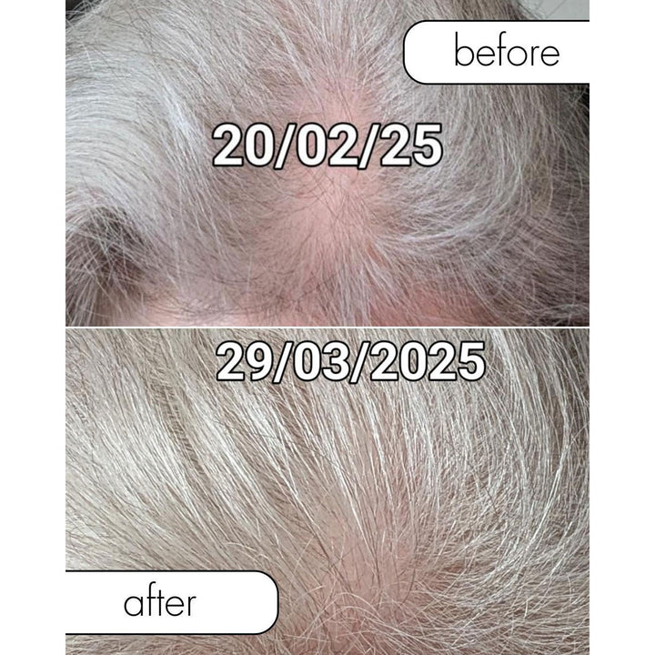 3OWzdbOGlc6p56AD97A7ql