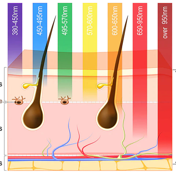 NZ9niR3Izaj6b2SmVktDE