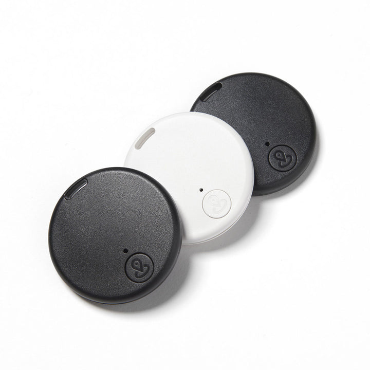 7bPrShTzyINDb53oPPVEds