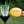 5N9CQkmpbQZcH5qRREZe8C