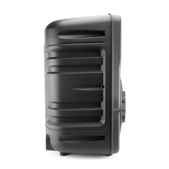 12'' Portable Party Speaker