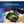 7'' Portable TV with Multimedia Player
