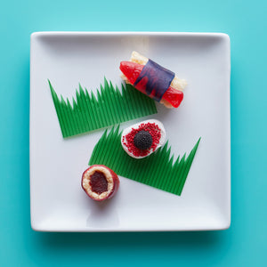 Candy Sushi Craft Kit