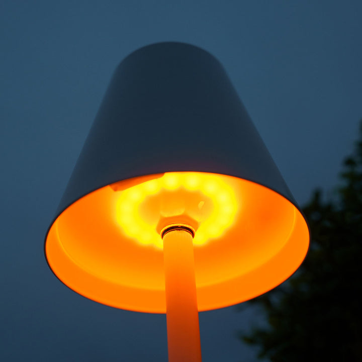 4-in-1 Indoor/Outdoor Bug Deterrent Lamp