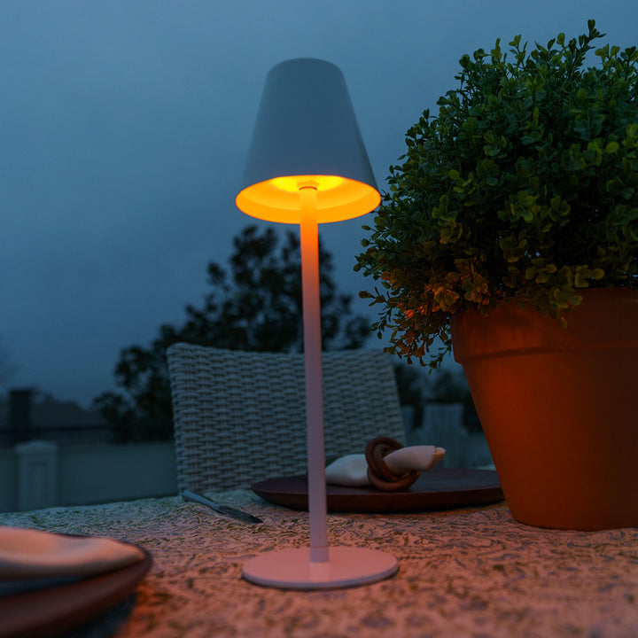 4-in-1 Indoor/Outdoor Bug Deterrent Lamp