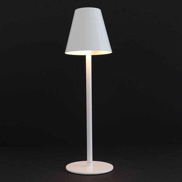 4-in-1 Indoor/Outdoor Bug Deterrent Lamp