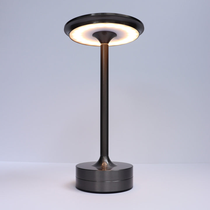 Indoor/Outdoor Bug Deterrent Lamp