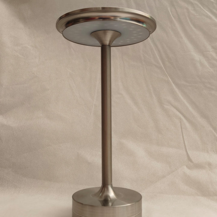 Indoor/Outdoor Bug Deterrent Lamp