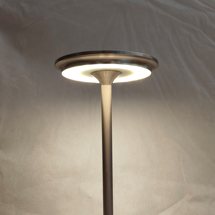 Indoor/Outdoor Bug Deterrent Lamp