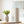 Small‑Space Dehumidifier