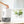 2‑Speed Dehumidifier with Timer