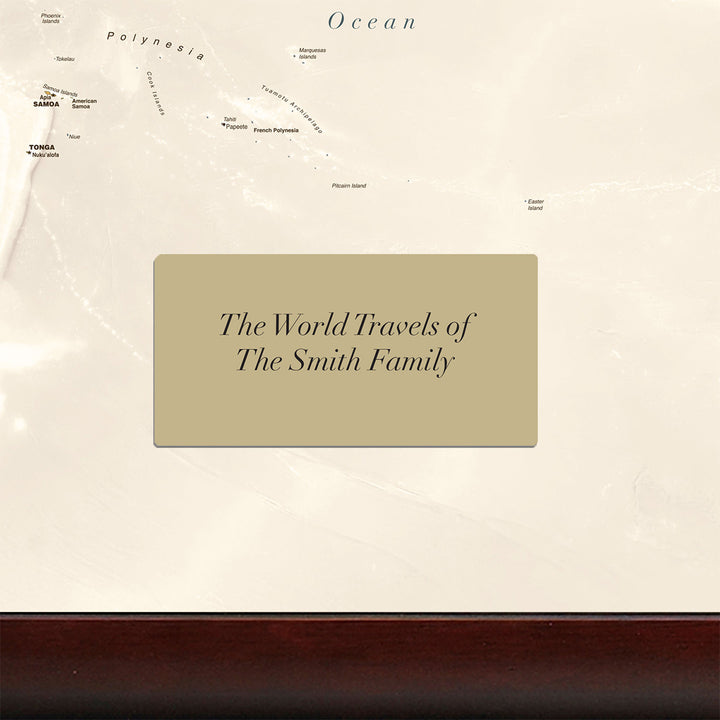 World Traveler Push Pin Map