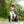 Sit-Down Electric Scooter with Basket