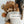 Screen-Free Smart Teddy