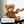 Screen-Free Smart Teddy