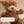 Screen-Free Smart Teddy