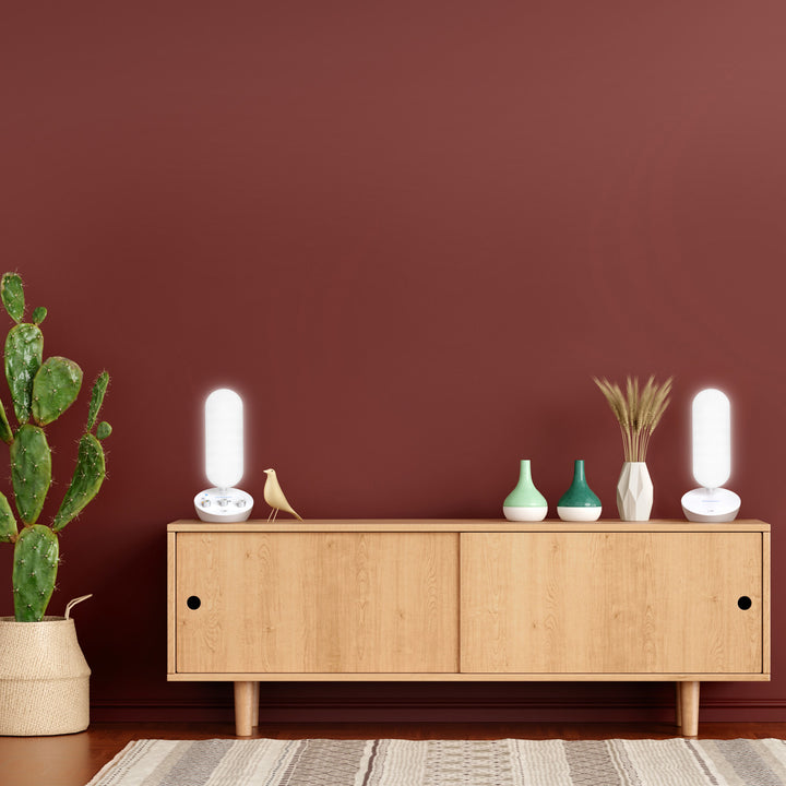 Surround Smart Focus Rhythm Sleep Light